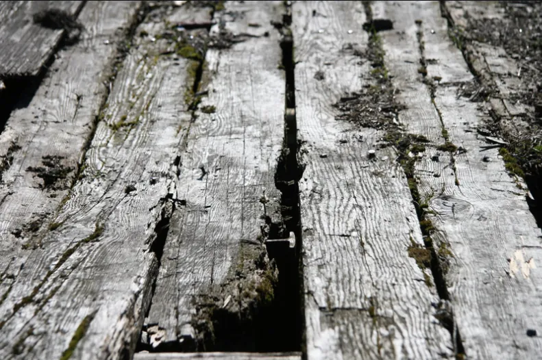 Close-up of rotted deck boards needing repair