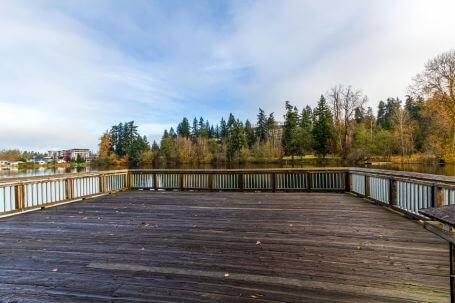 Semi-Transparent Deck Sealers